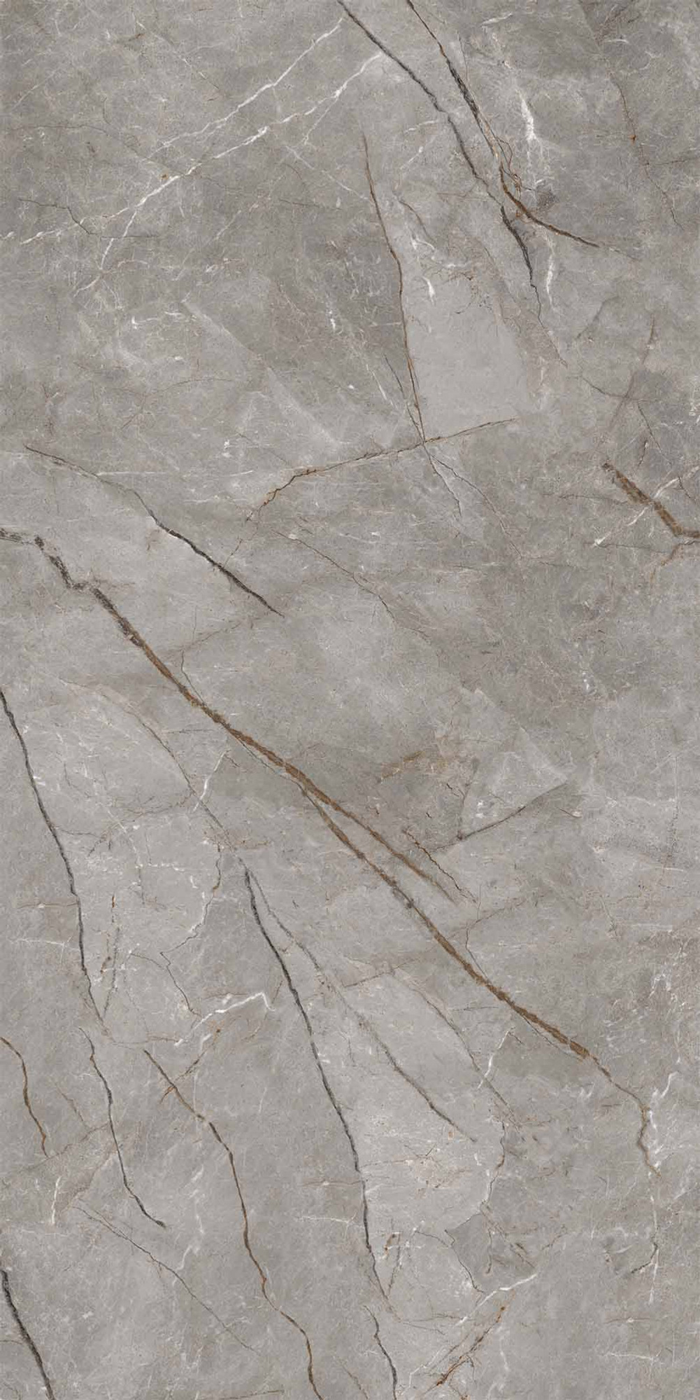Silver Roots Mat Kalesinterflex Porselen Plaka 162x323