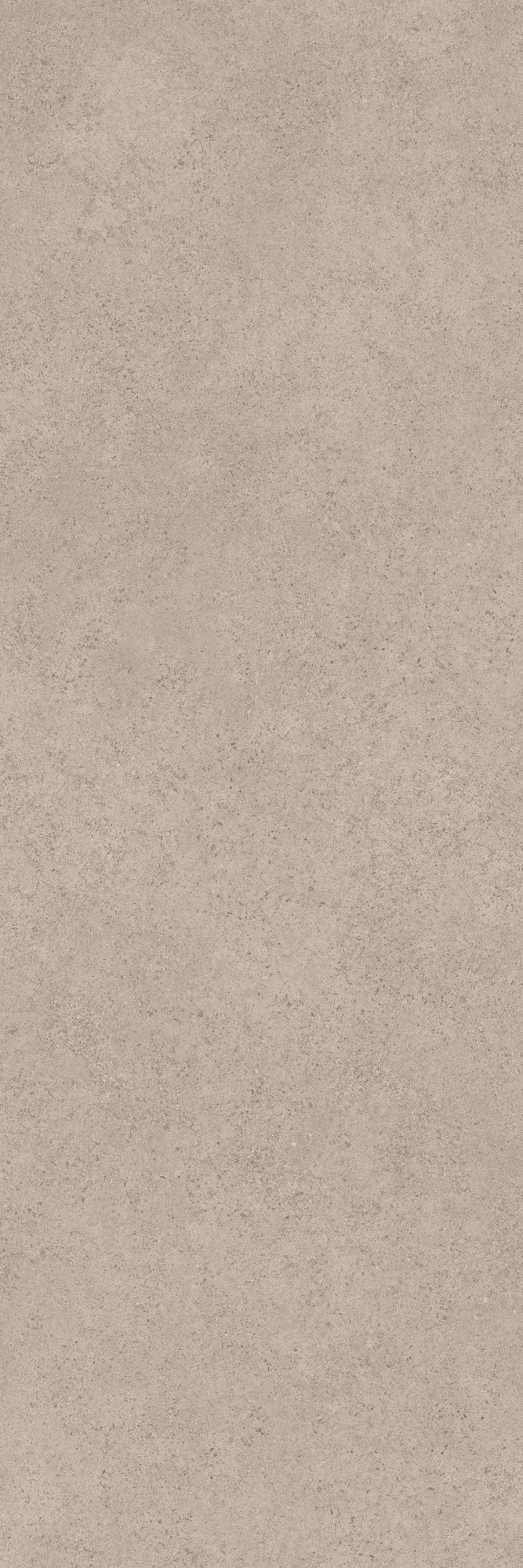Calcario Greige Matte Porcelain Slab