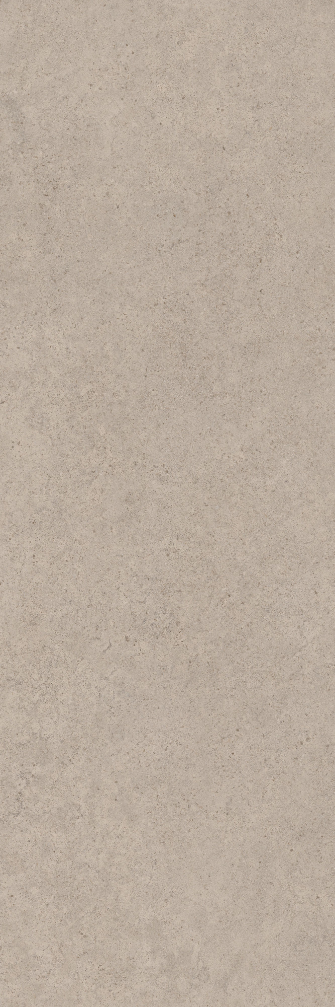 Calcario Greige Matte Porcelain Slab