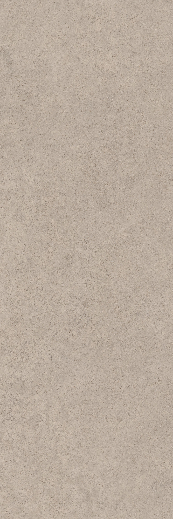 Calcario Greige Matte Porcelain Slab