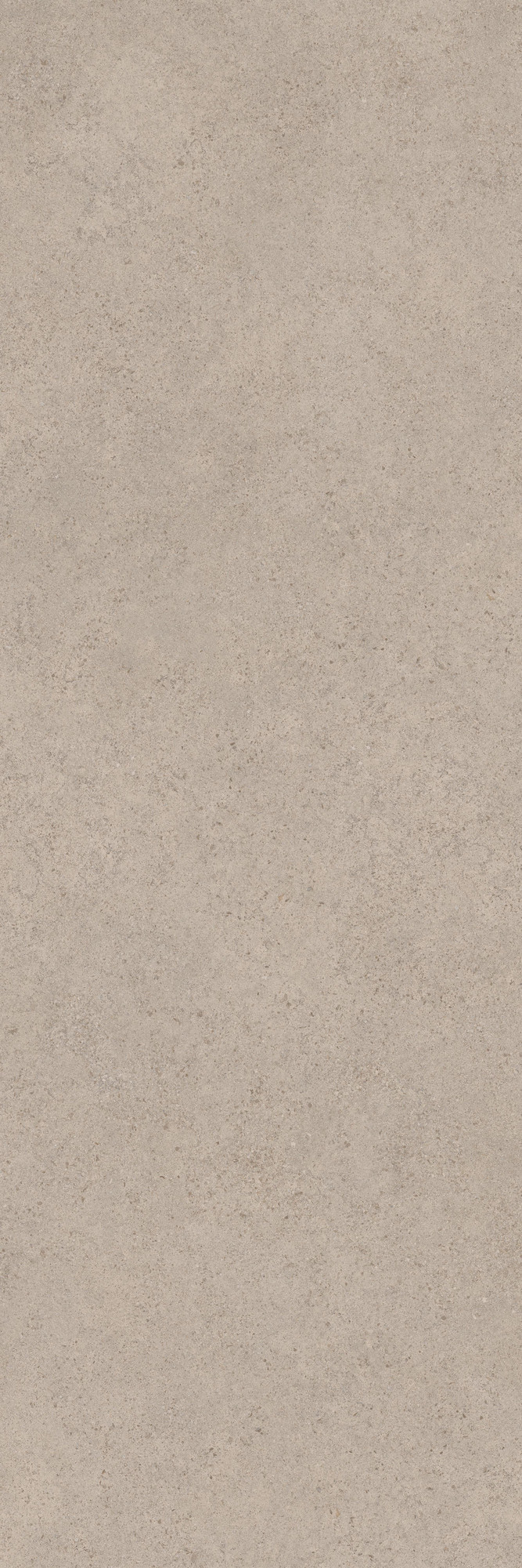 Calcario Greige Matte Porcelain Slab