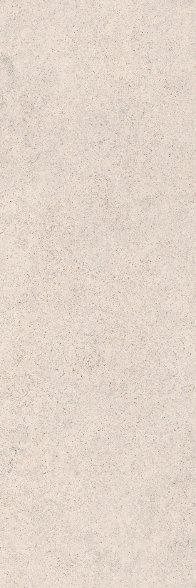 Calcario Light Greige Matte Porcelain Slab