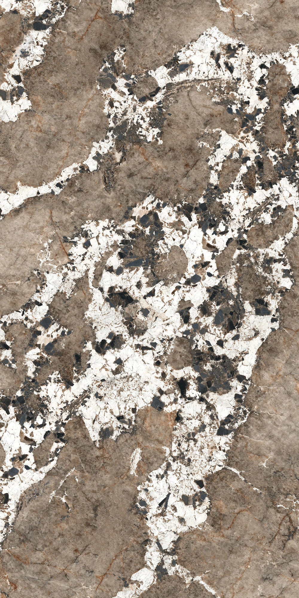 Patagonia Flower Polished Porcelain Slab 162x323