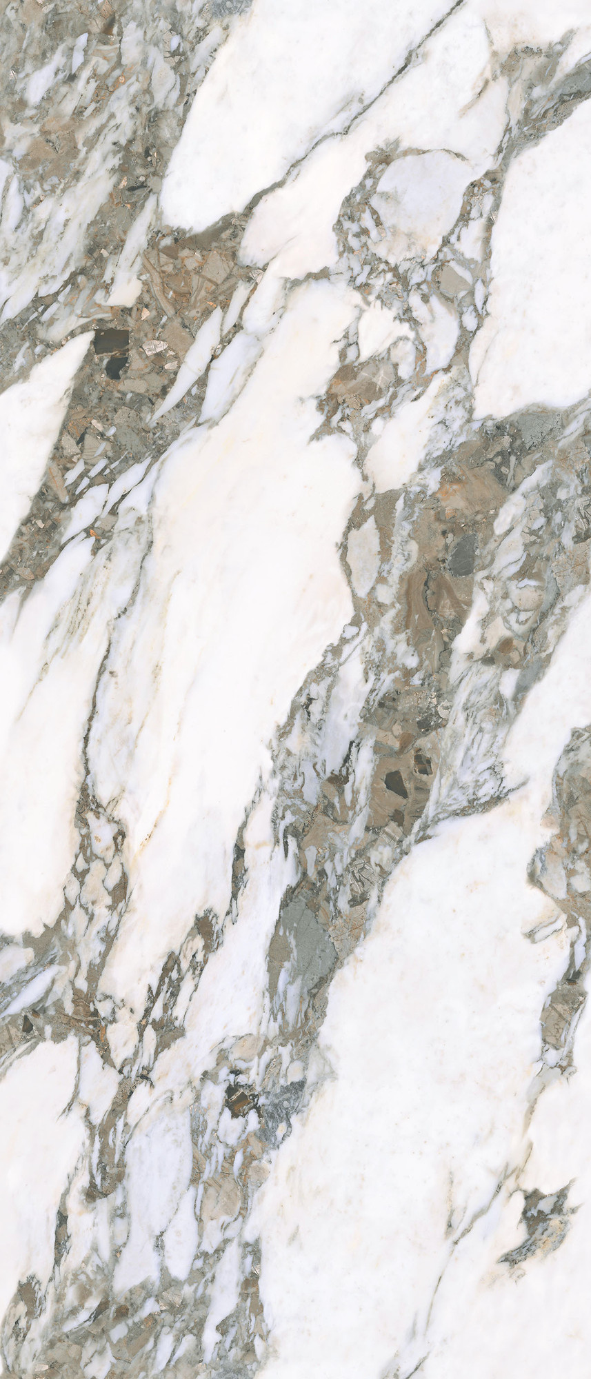 Bone Module A Polished Porcelain Tile 120x280