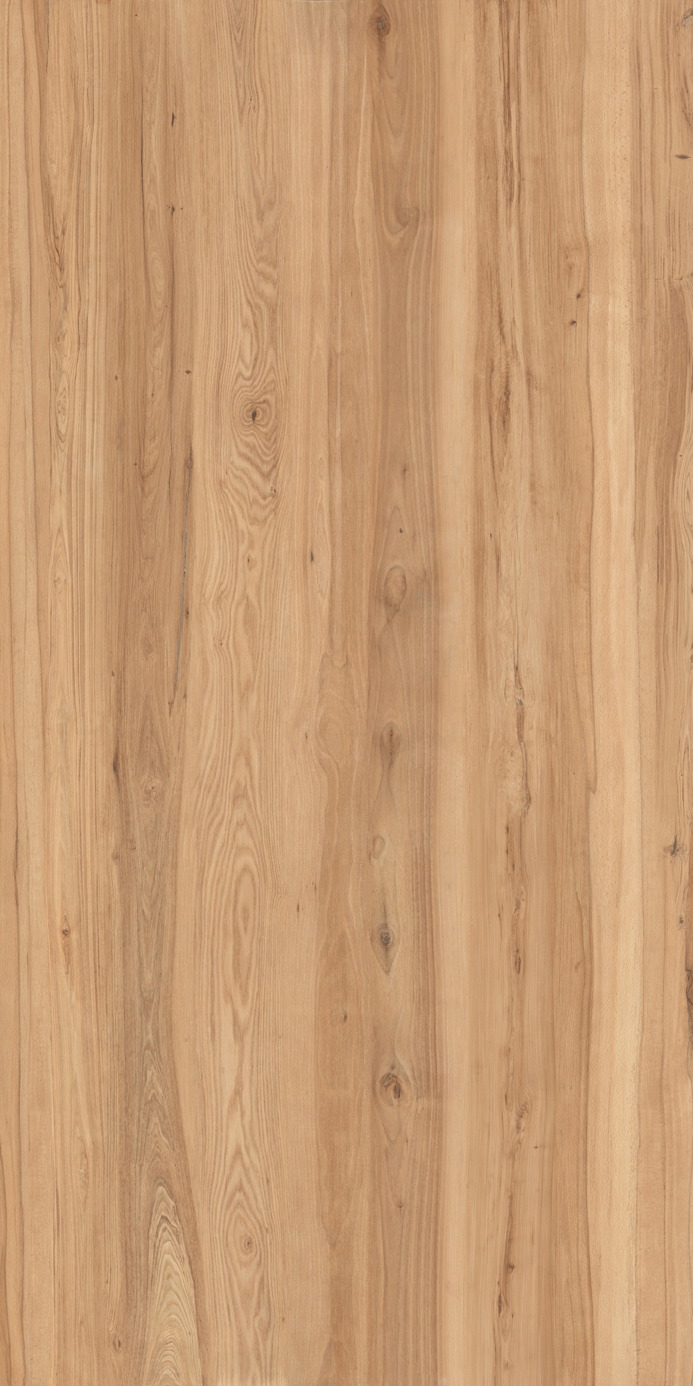 Massive Matte Kalesinterflex Porcelain Slab 162X323