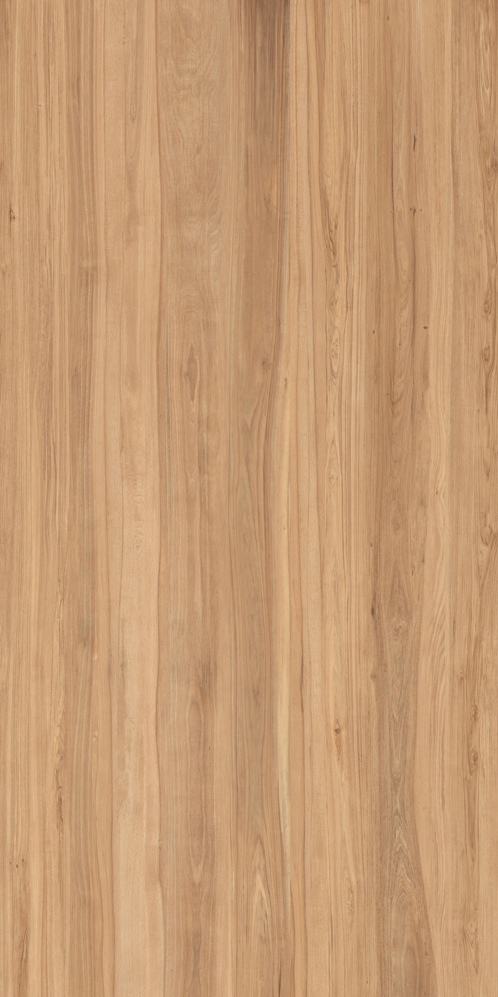 Massive Matte Kalesinterflex Porcelain Slab 162X323