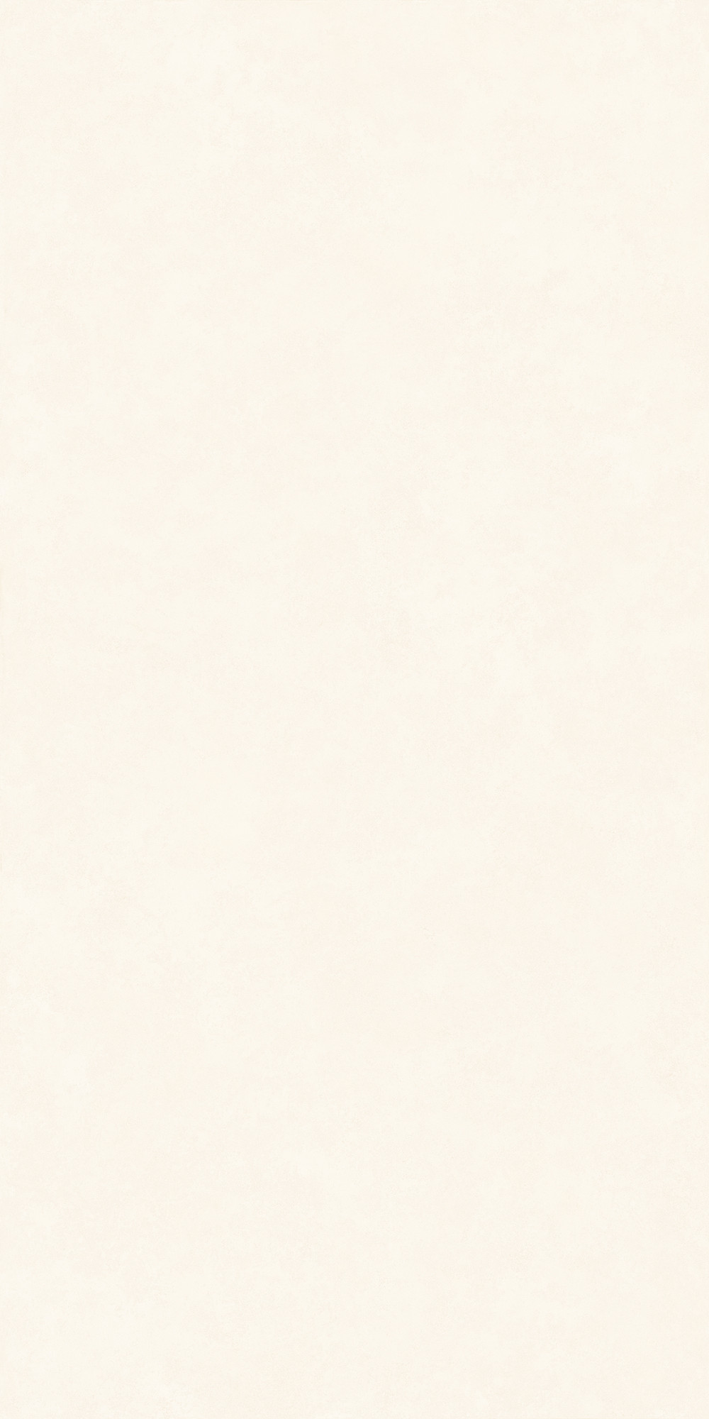 Intonaco Matte White Porcelain Slab 162X323