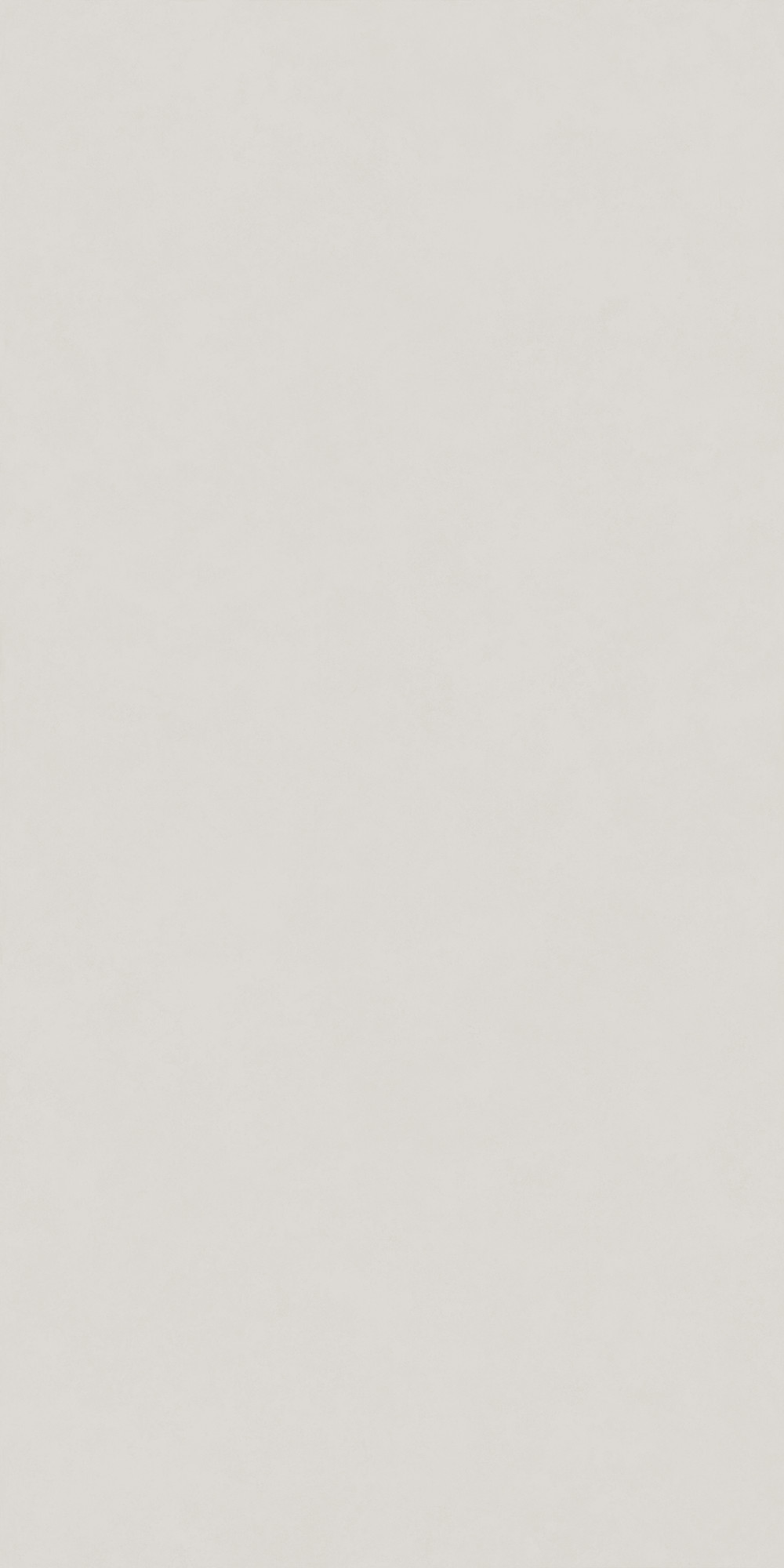 Intonaco Matte Light Grey Porcelain Slab 162X323
