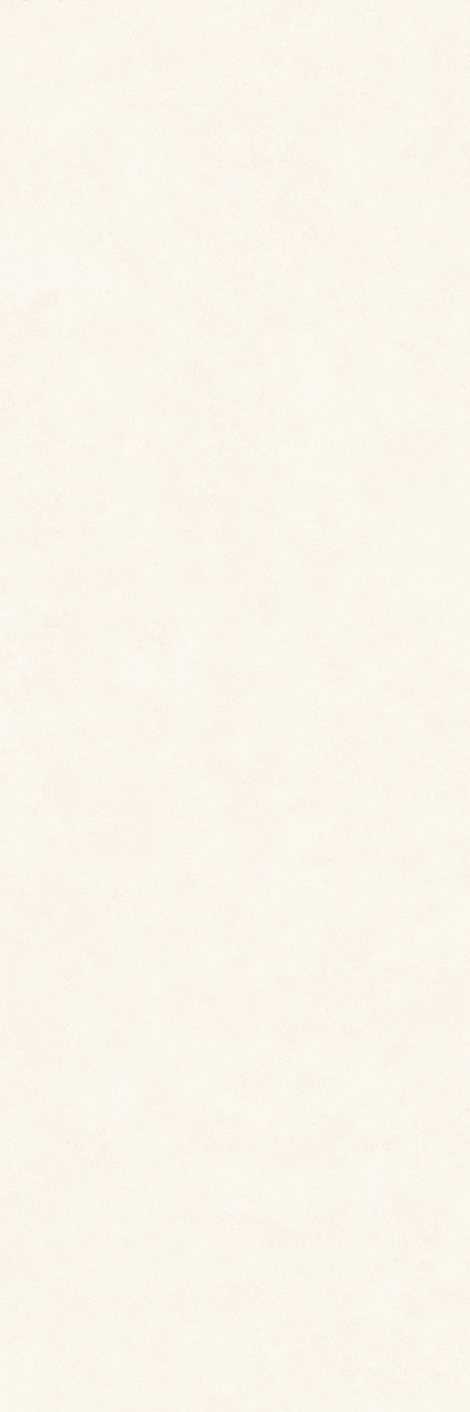 Intonaco Matte White Porcelain Slab