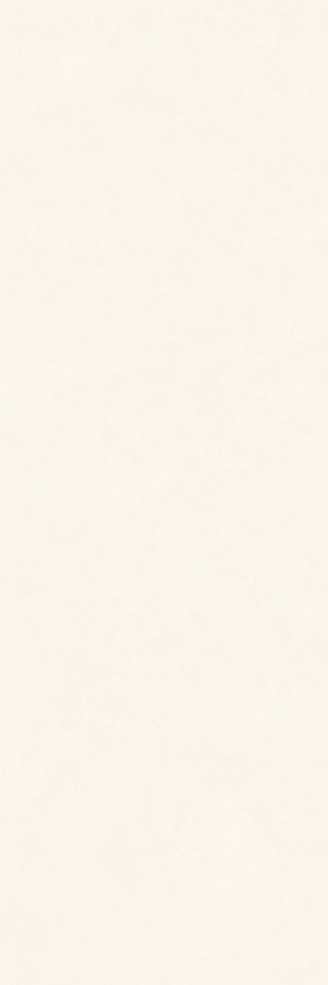 Intonaco Matte White Porcelain Slab