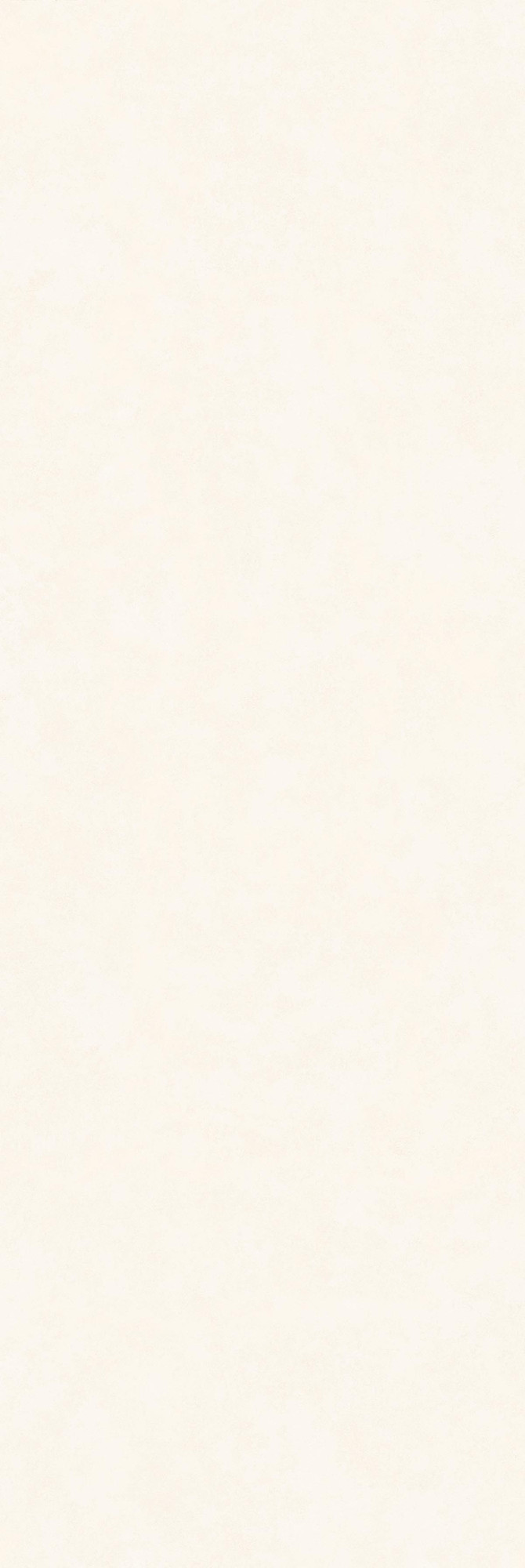 Intonaco Matte White Porcelain Slab