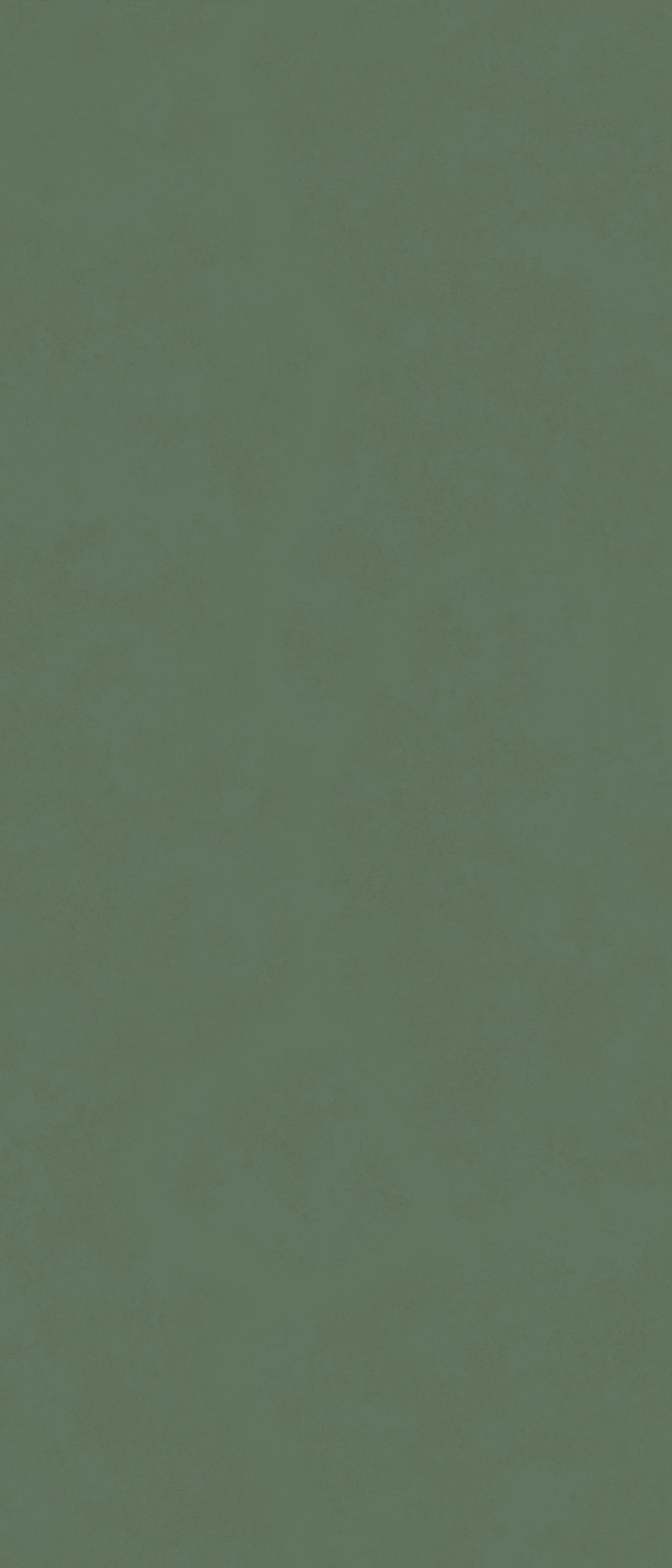Intonco Matte Fern Green Porcelain Tile 120X280