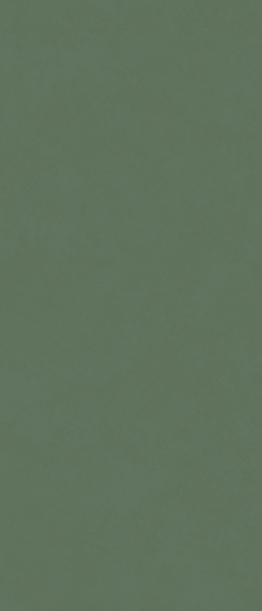 Intonco Matte Fern Green Porcelain Tile 120X280
