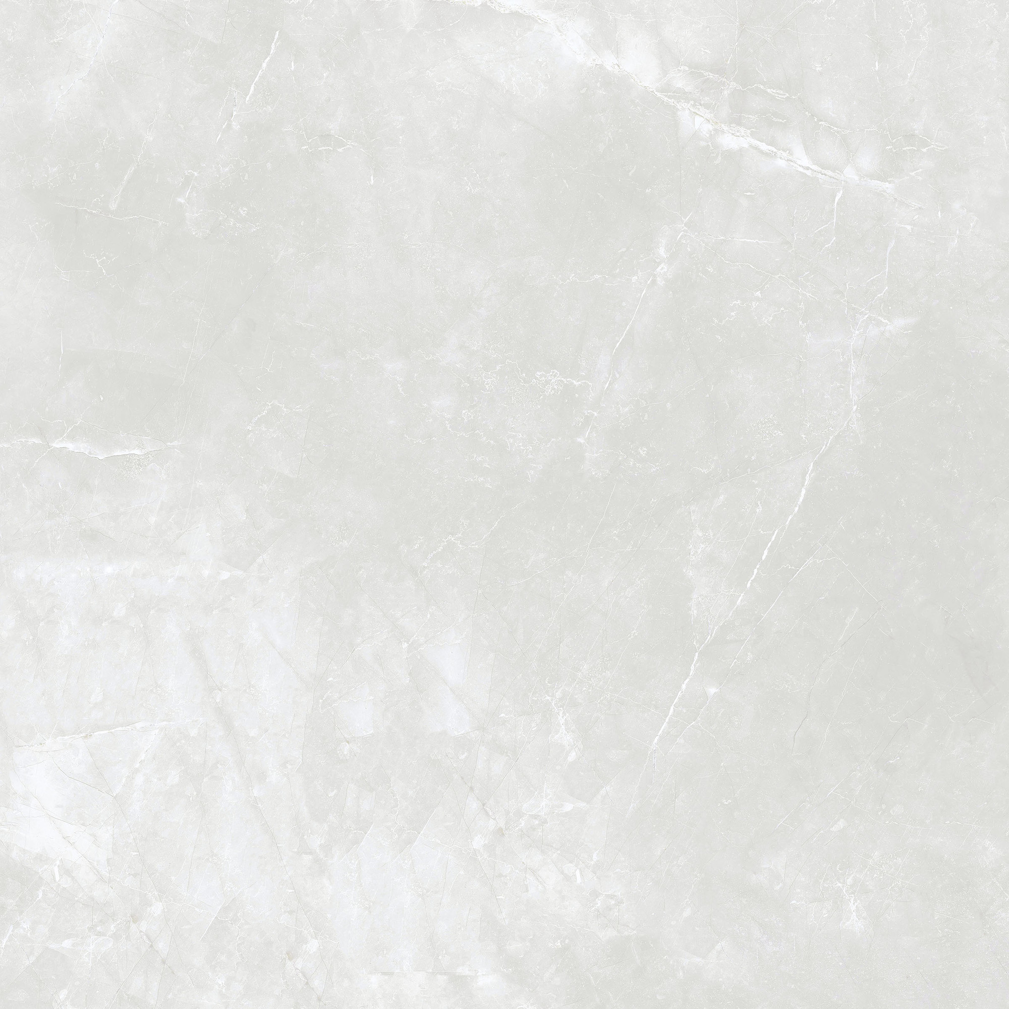 Amani Matte Grey Porcelain Tile 120x120