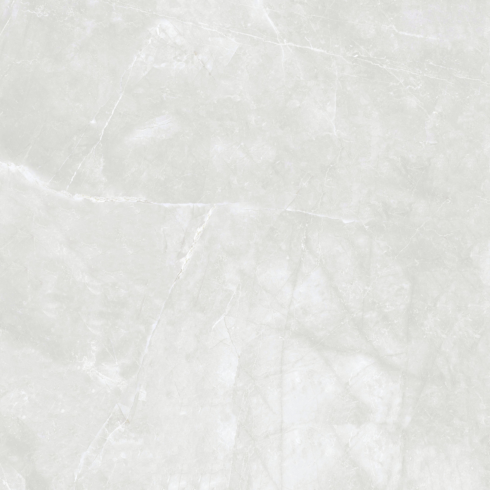 Amani Matte Grey Porcelain Tile 120x120