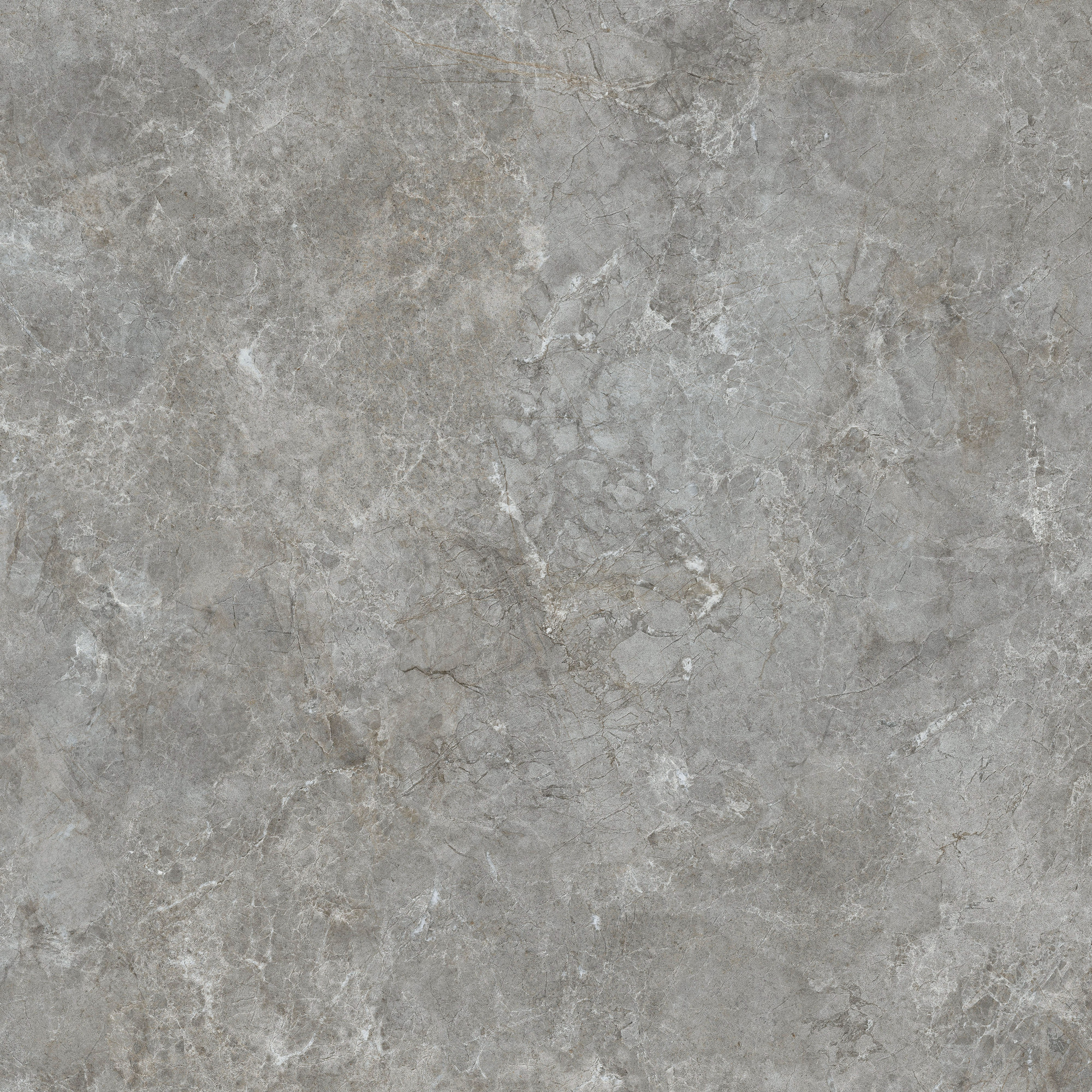 Estia Matte Porcelain Tile 120x120