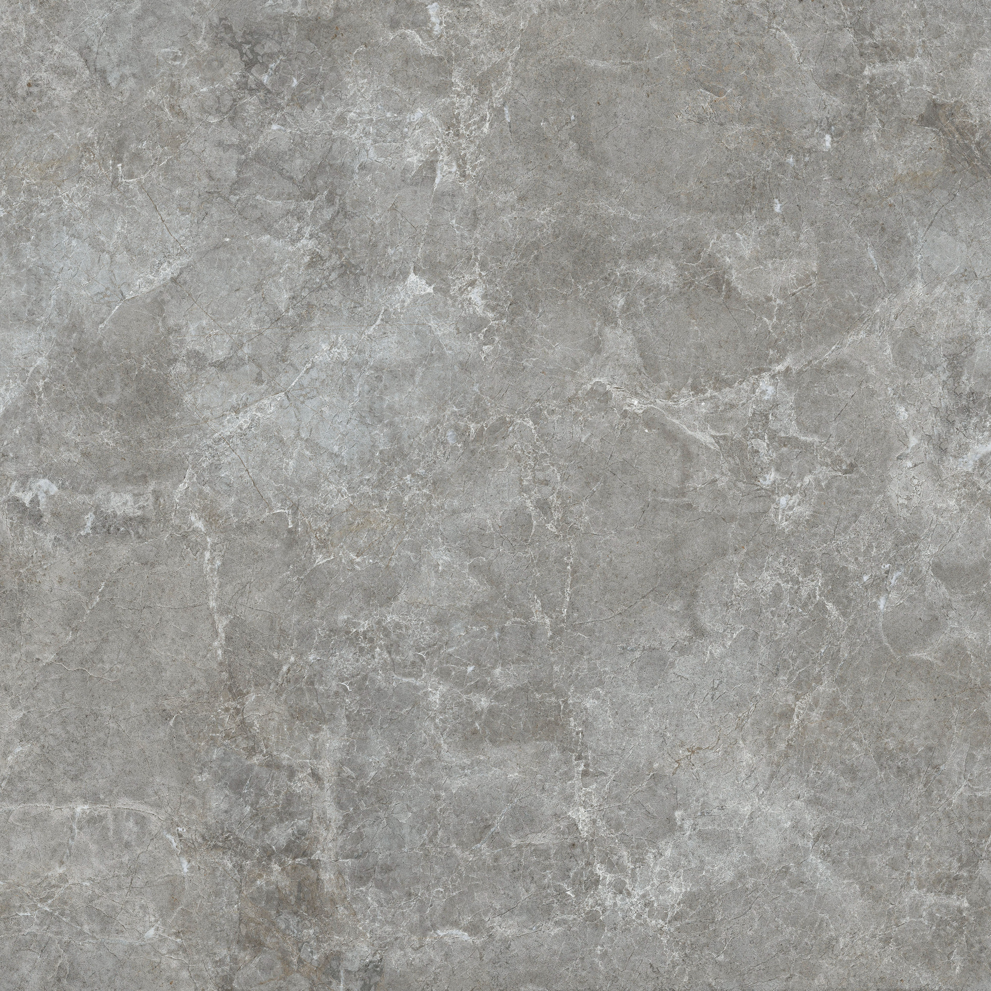 Estia Matte Porcelain Tile 120x120