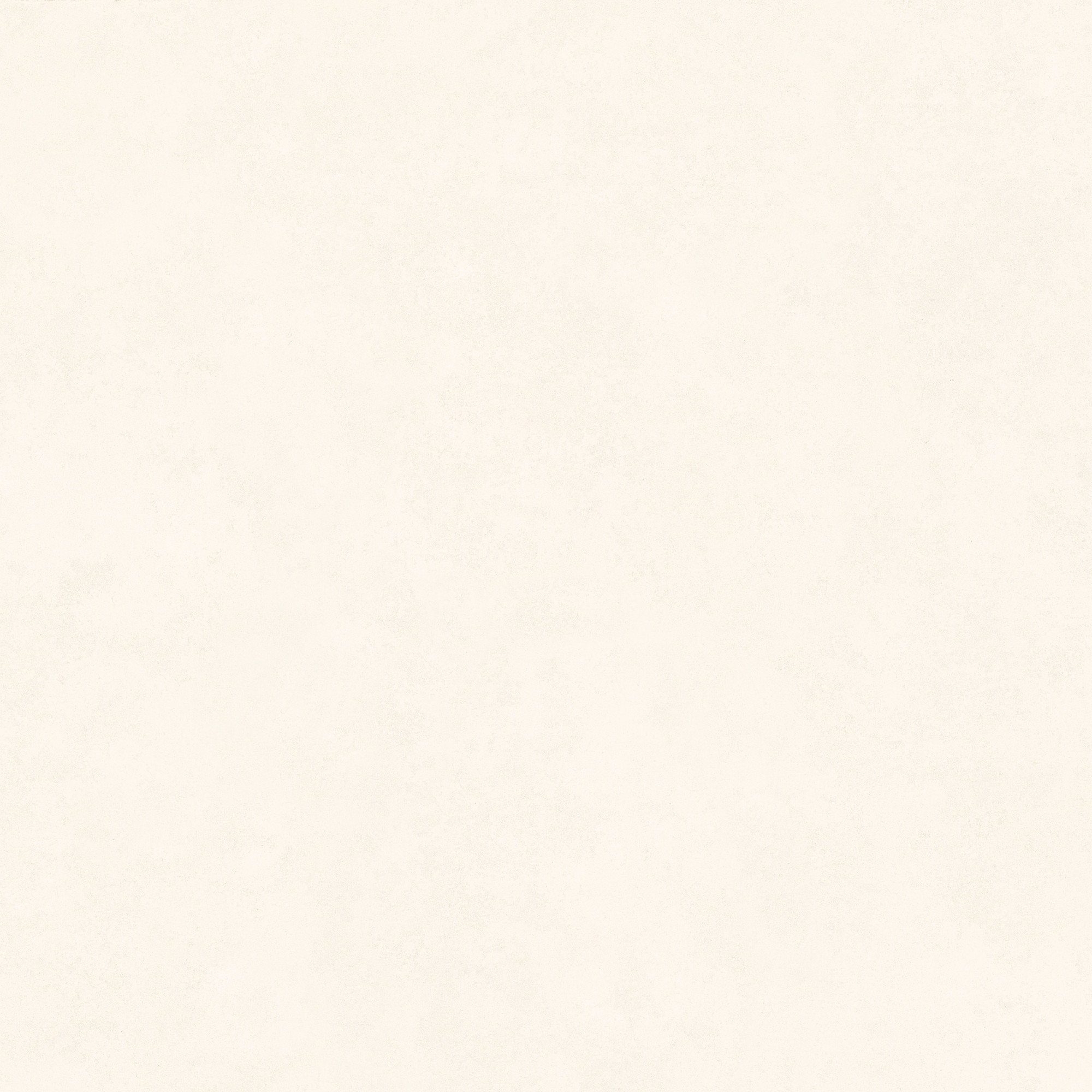 Intonaco Matte White Porcelain Tile 120x120