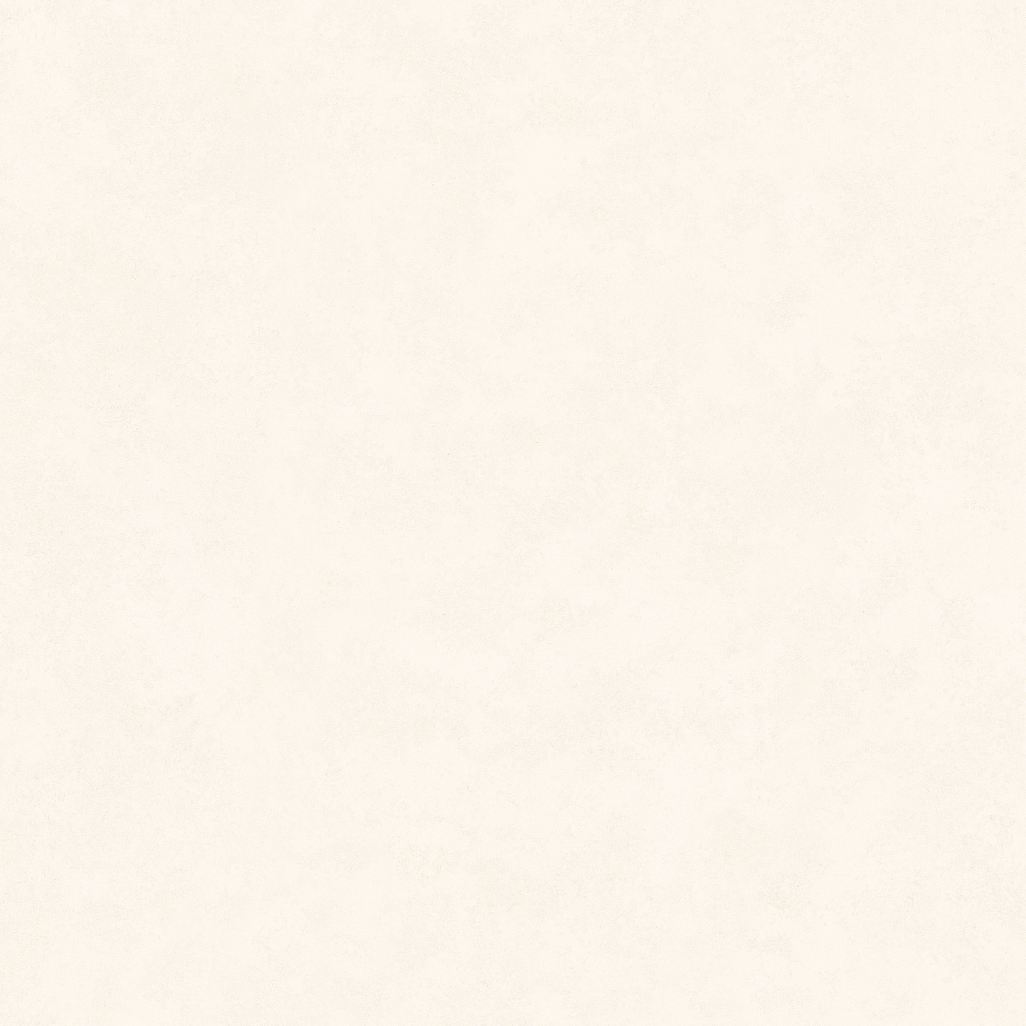 Intonaco Matte White Porcelain Tile 120x120