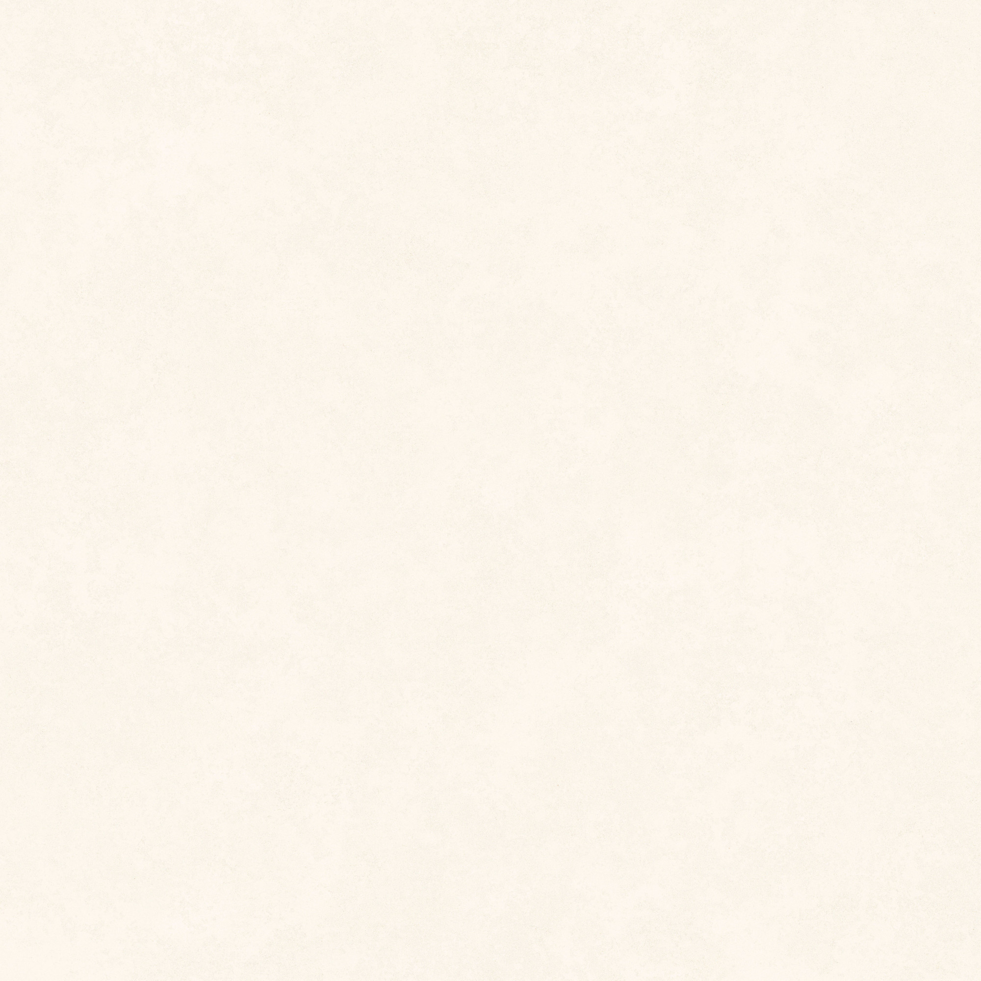 Intonaco Matte White Porcelain Tile 120x120