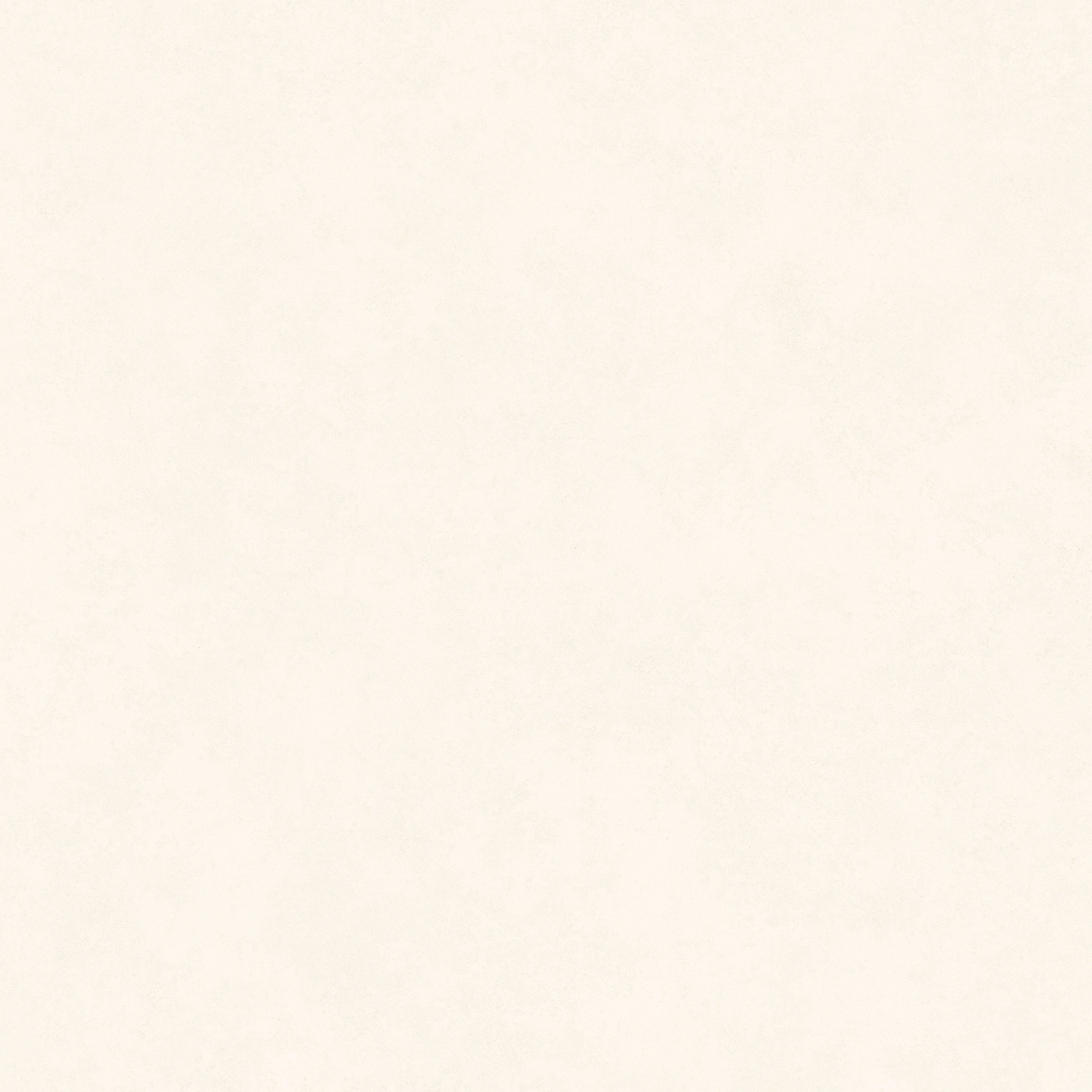 Intonaco Matte White Porcelain Tile 120x120