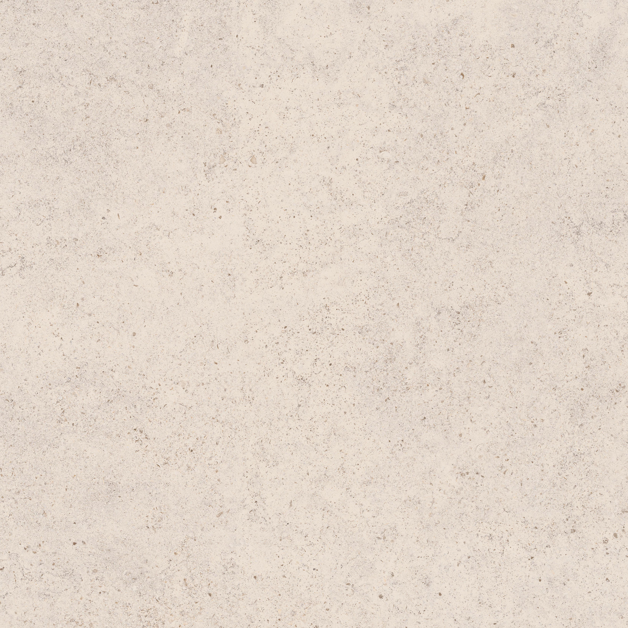 Calcario Matte Light Grey Beige Porcelain Tile 120x120