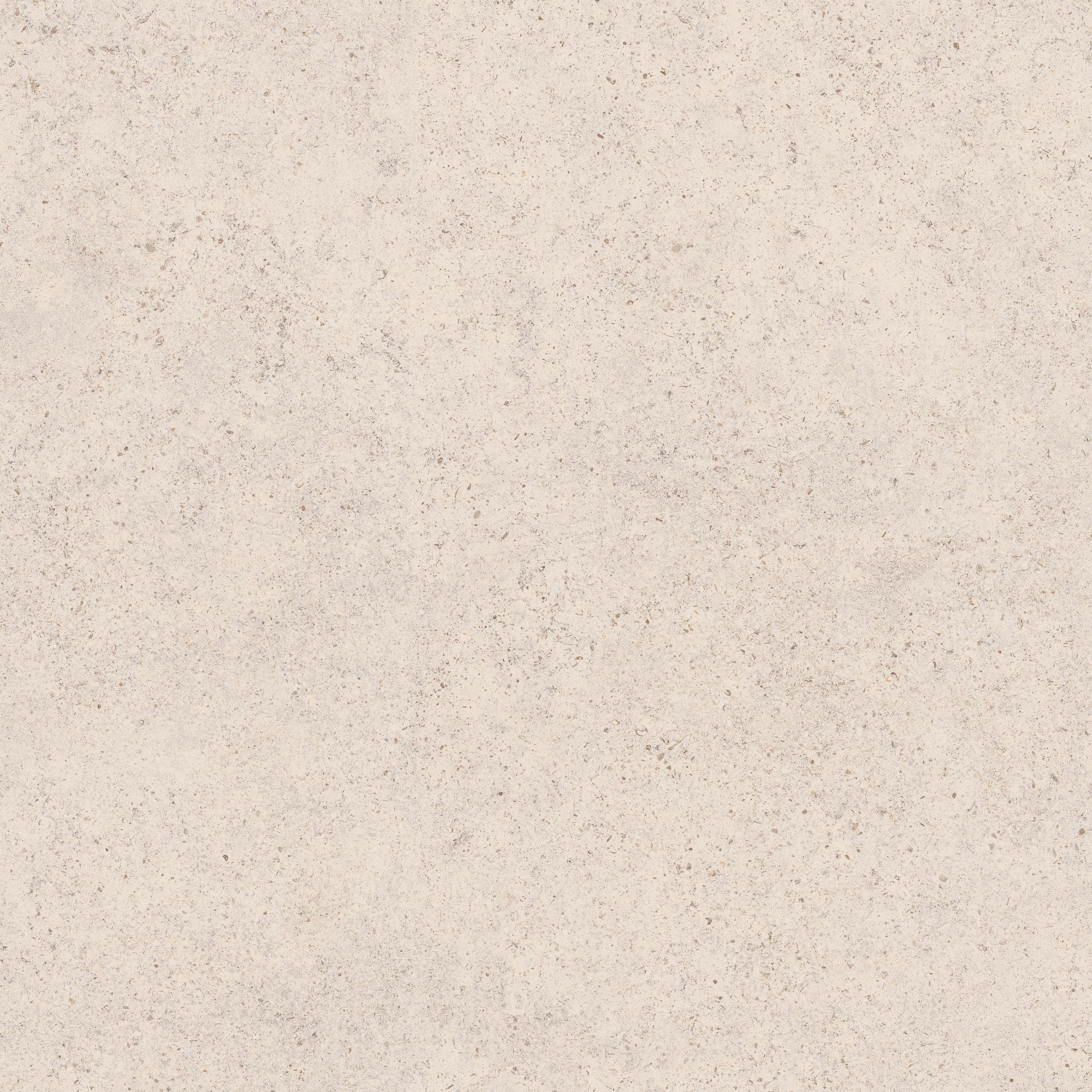 Calcario Matte Light Grey Beige Porcelain Tile 120x120