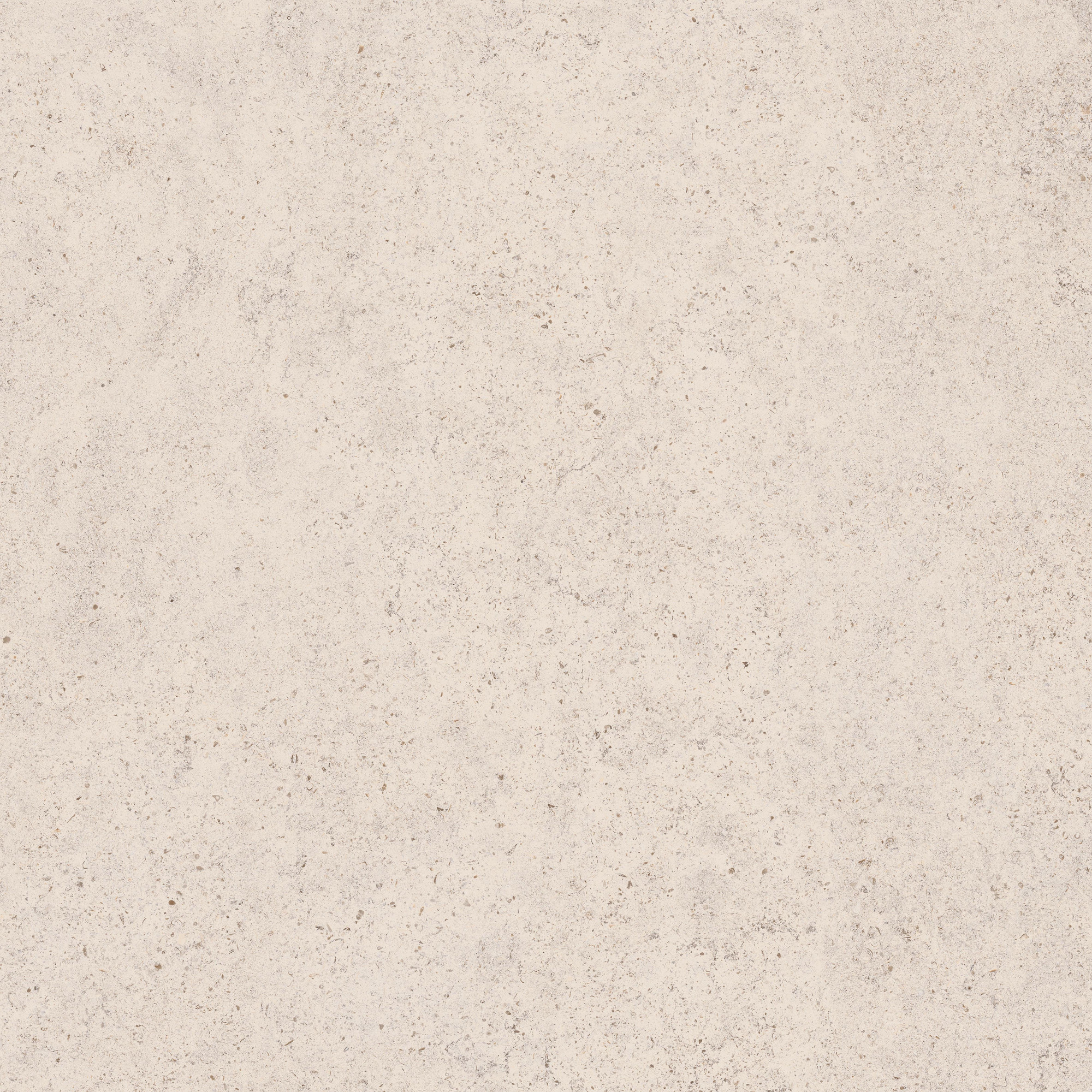 Calcario Matte Light Grey Beige Porcelain Tile 120x120