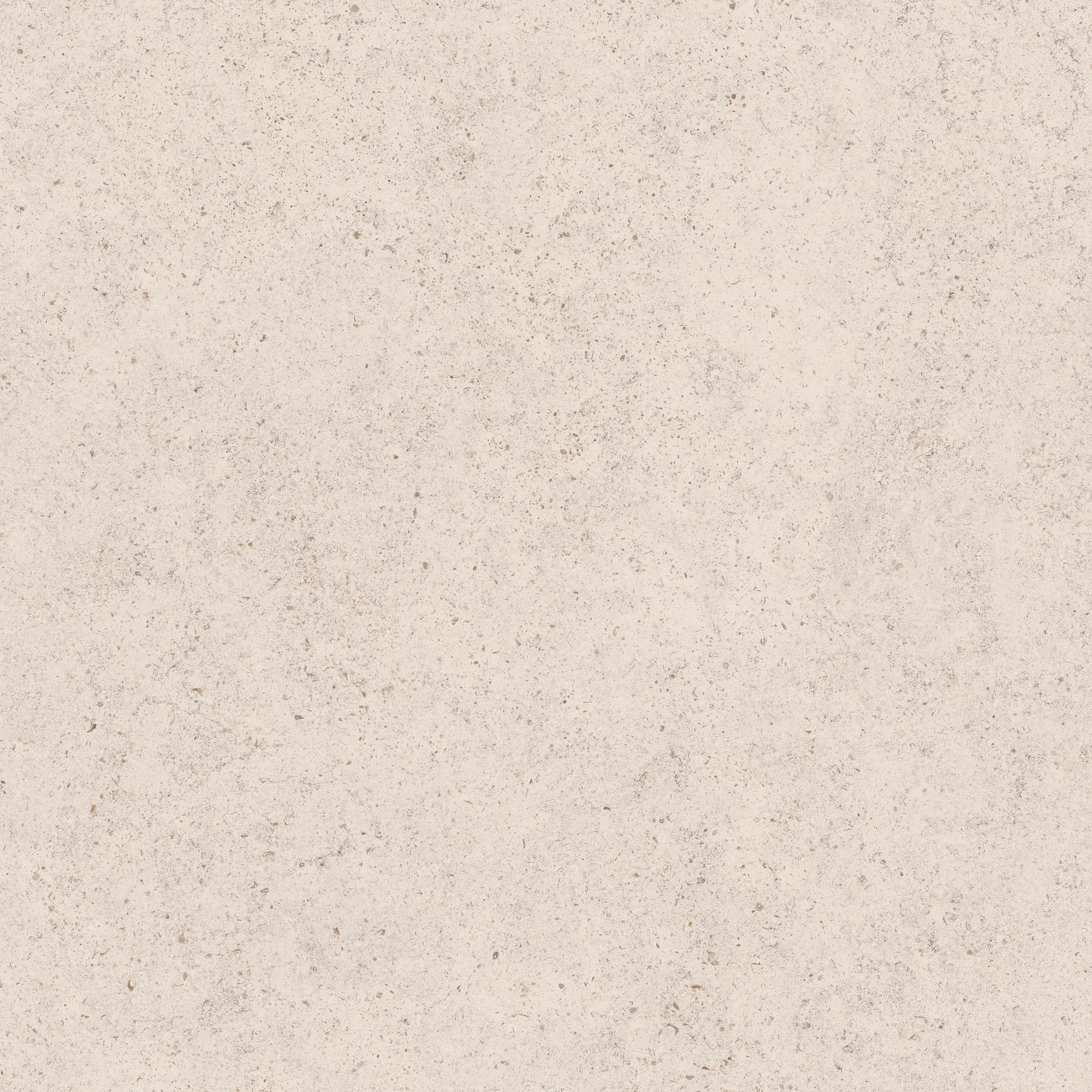 Calcario Matte Light Grey Beige Porcelain Tile 120x120