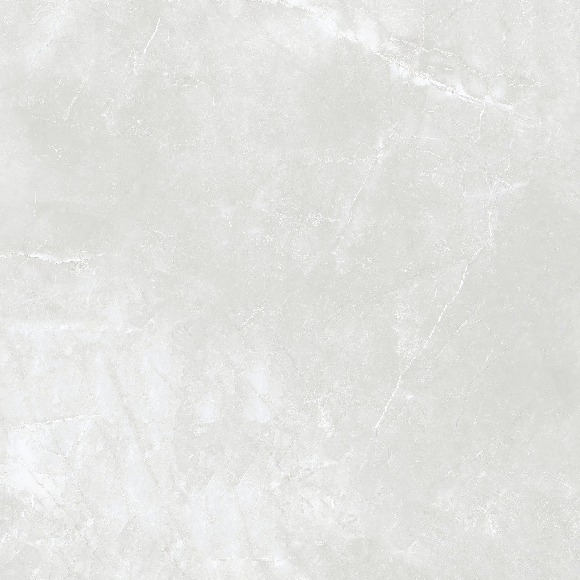 Amani Polished Grey Porcelain Tile 120x120
