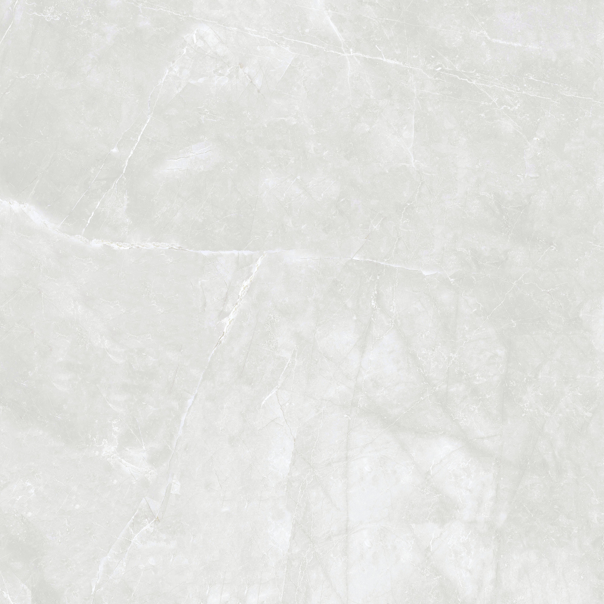 Amani Polished Grey Porcelain Tile 120x120