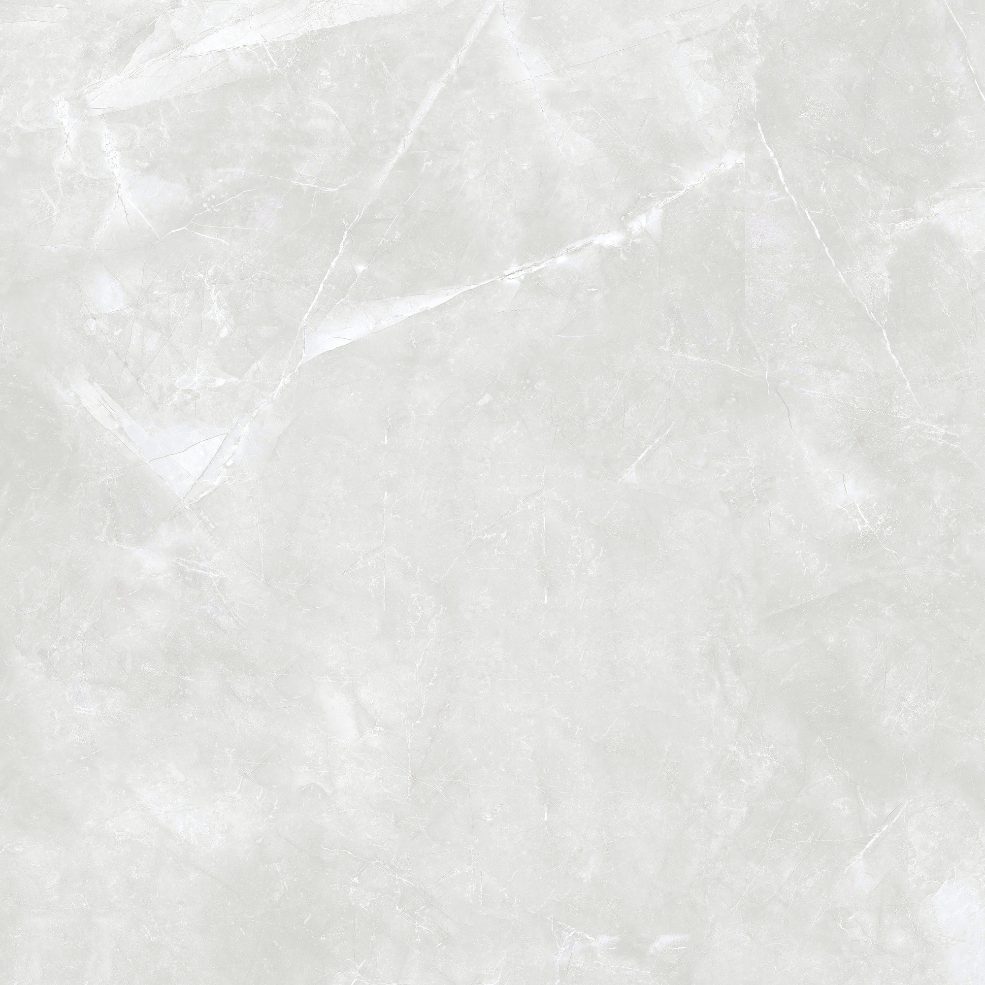 Amani Polished Grey Porcelain Tile 120x120