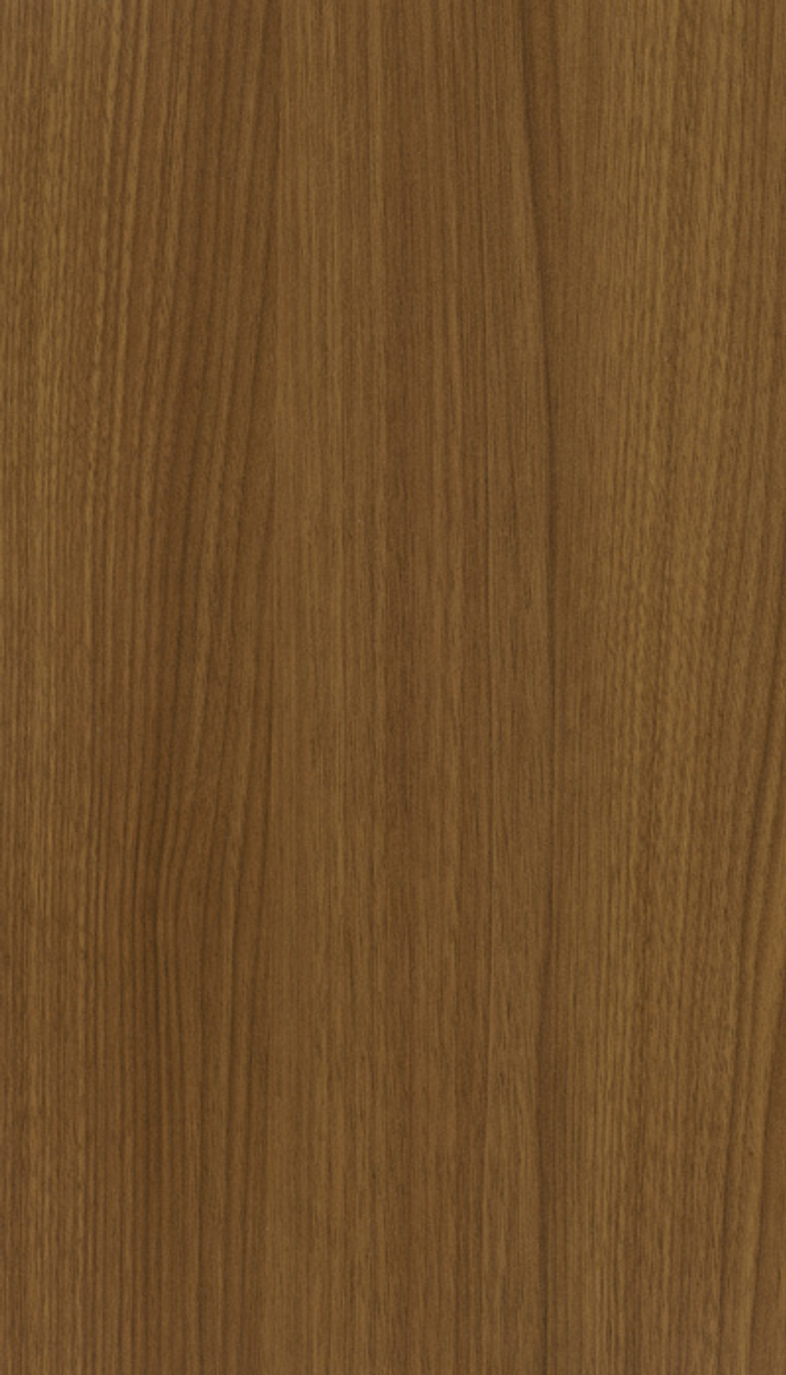 Trevi Set Anthracite/Walnut 65 Cm